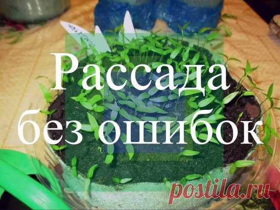(1) Одноклассники