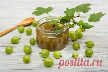 Джем из зеленого крыжовника — Домашняя кулинария