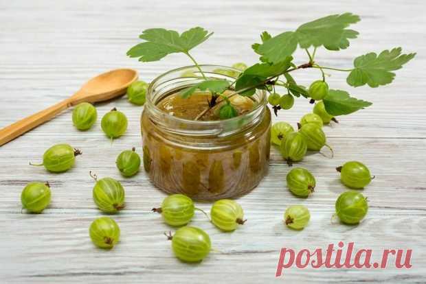Джем из зеленого крыжовника — Домашняя кулинария