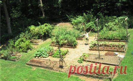 Севооборот • Совместимость растений • Схемы посевов .