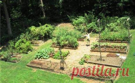 Севооборот • Совместимость растений • Схемы посевов .