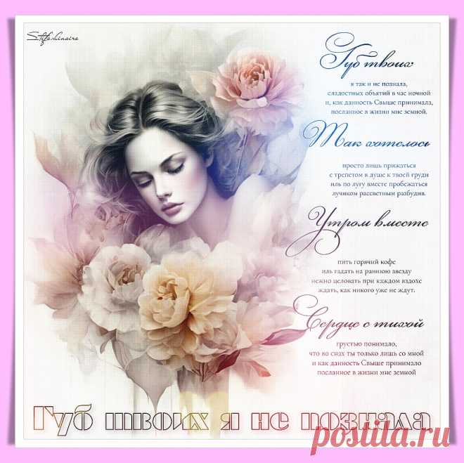 Губ твоих я так и не познала. Красивые открытки Представлены красивые открытки - Губ твоих я так и не познала