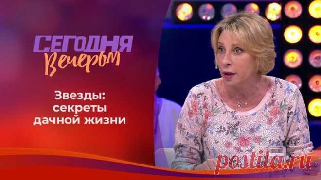 Дачный сезон. Звездные истории. Сегодня вечером. Выпуск от 26.06.2021