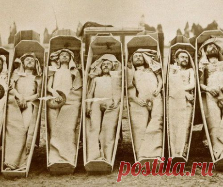 До конца 18 века человеческая плоть использовалась в фармацевтике
