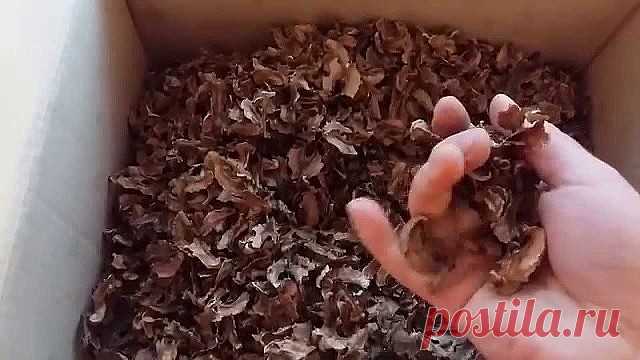 Целебная настойка из перегородок грецкого ореха

Настойка на перегородках грецкого ореха эффективна при борьбе с таким заболеванием как сахарный диабет, радикулит, боль в суставах, при затянувшемся расстройстве желудка, для лечения зоба, пяточных шпор, ухудшении памяти, головной боли, бессоннице, нервных расстройствах, фибромиоме матки, мастопатии.

Настойку сделать совершенно не сложно. Две столовые ложки перегородок поместить в тёмную стеклянную посуду залить водкой до п...