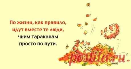 Одной фразой – Фитнес для мозга