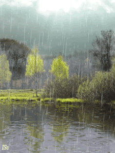 анимация-дождь-весна.gif (236×315)