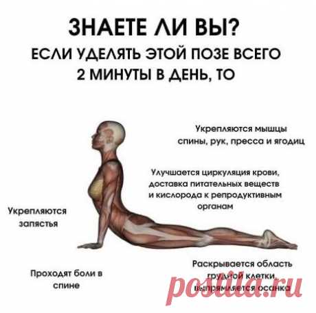 Упражнения, Позы йоги, Йога