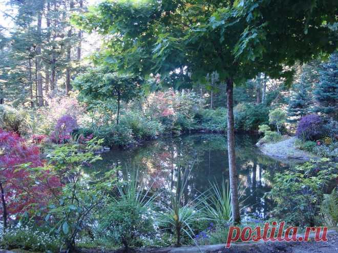 Ботанический сад Glacier Gardens, Juneau, Alaska