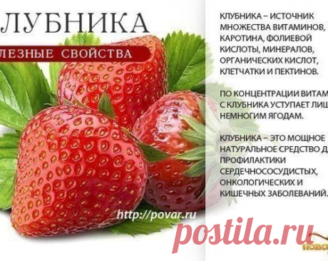 Вкусно и полезно. Ягоды