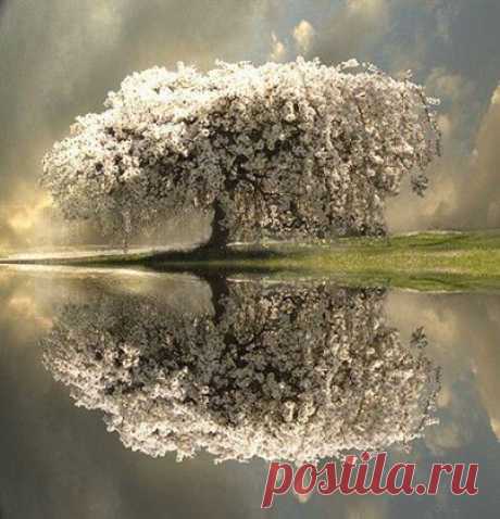 Most Beautiful Photos