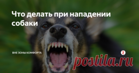 Что делать при нападении собаки Наверное каждый человек сталкивался с такой ситуацией, когда на пути ему встречалась бездомная собака или даже стая собак. Обычно человек в такой момент теряется и не знает как себя вести и что нужно, а самое главное чего нельзя делать. На самом деле все обстоит проще, сейчас я вам расскажу о действиях при встрече с бездомными собаками.