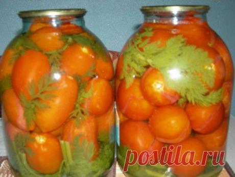 Помидоры, маринованные с морковной ботвой.