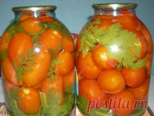 Помидоры, маринованные с морковной ботвой.