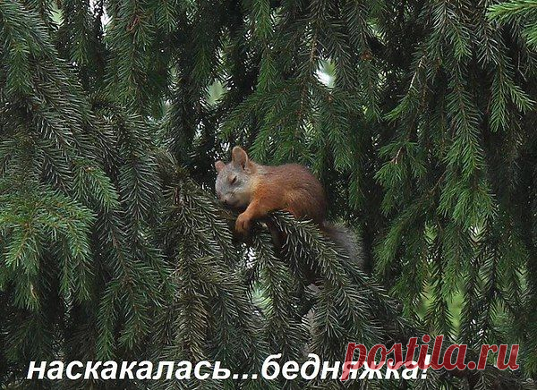 Интересные новости