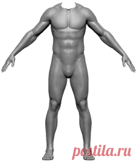 Кинезиотейпирование - узнай что это! Купи кинезио тейпы!
