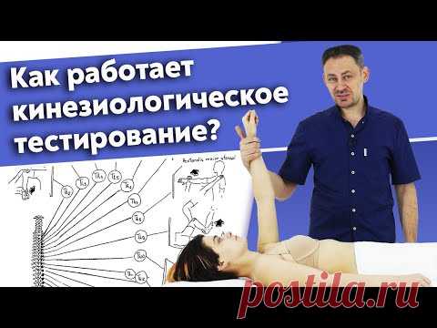 Как работает кинезиология? / Зачем нужен кинезиологический тест в массаже? - YouTube
