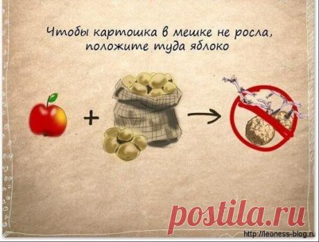 Присоединяйтесь, здесь всегда всё самое НУЖНОЕ ДЛЯ ВАС!