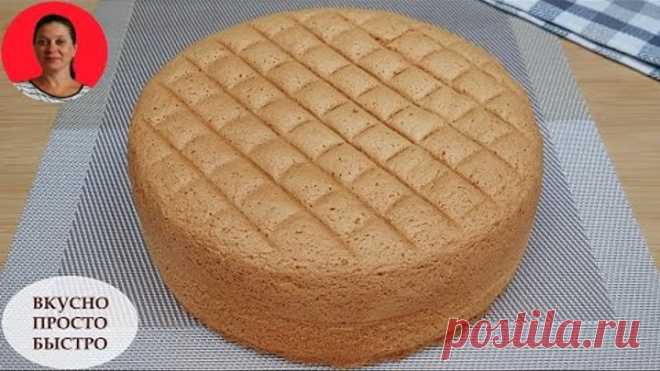 Идеальный Бисквит ✧ Который Никогда Не Опадает ✧ Бисквит Кастелла ✧ Perfect Sponge Cake ✧ SUBTITLES