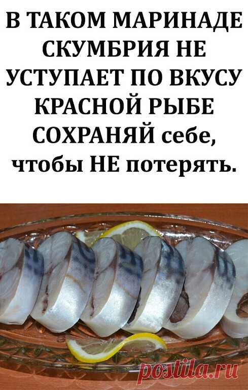 Ингредиенты:
— Скумбрия (замороженная, разморозить) 2 шт
— лук репчатый по вкусу
— вода 250 мл
— гвоздика 6 шт
— перец горошком шепотка...ПОКАЗАТЬ ЕЩЕ