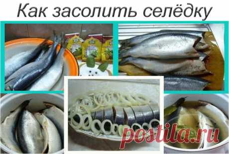 Как засолить селедку 🍴
А какая получается вкуснятина… Больше никогда не покупаю магазинную соленую селедку!
Скажу вам более… этот рецепт великолепно подходит для засолки скумбрии и любой красной рыбы.
Ингредиенты
- сельдь – 1 кг;
- поваренная соль – 6 стол. ложки без горки;
- перец душистый горошком – 10 шт.;
- сахарный песок – 3 стол. ложки;
- лавровый лист – 3-4 шт.;
- вода – 1 литр.
Приготовление
1. Наливаем в кастрюлю воду и доводим ее до кипения.
2. Добавляем к воде сахарный песок, пова