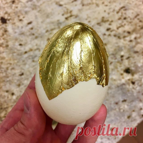 Getting ready for the Exotic hard boil egg! 🥚🥚🥚 #pastrychefamauryguichon #egg #gold #mangocompote #coconuts #passion #keylimecremeux #mango #vanilla #pastryporn #chefstalk #clementdesignusa