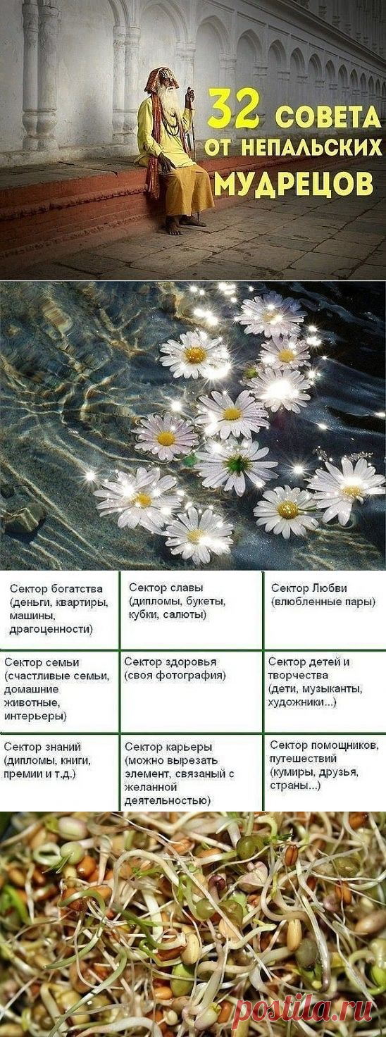 духовная пища