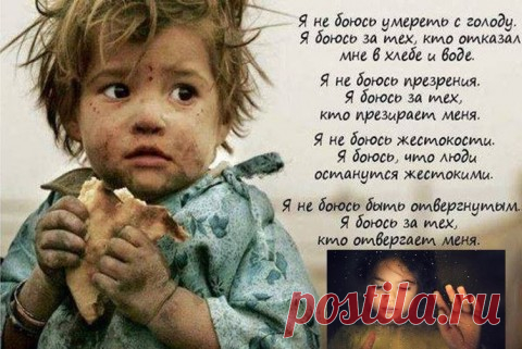 Семье Порошенко от погибших детей Донбасса