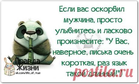 правда жизни картинки с надписями прикольные: 23 тыс изображений найдено в Яндекс.Картинках