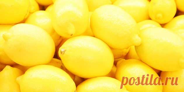 10 продуктов против старения, которые можно купить в обычном магазине - Лайфхакер