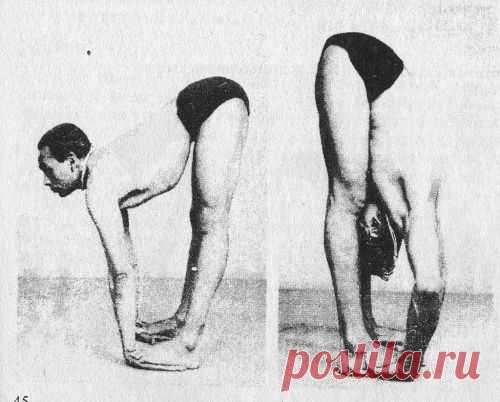 Падахастасана - Наклон с зажатием ладоней ступнями - Йога и Аюрведа на CisGoa