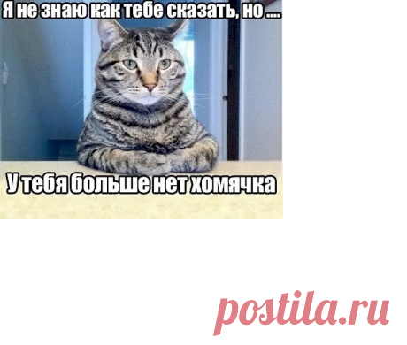 Выпуск №6962 - выпуск анекдотов сайта вокруг смеха