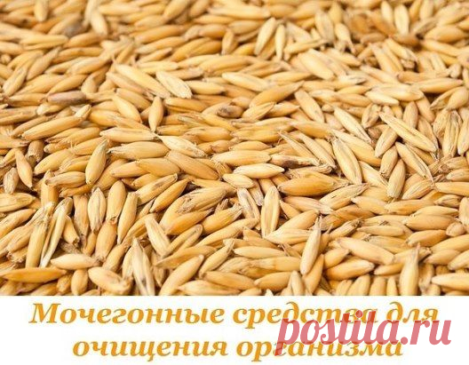 Одноклассники