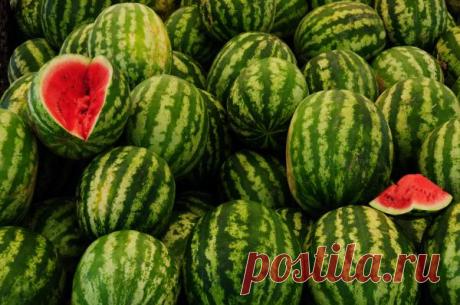 Мечтаете вырастить вкусные арбузики у себя на даче? Это реально...