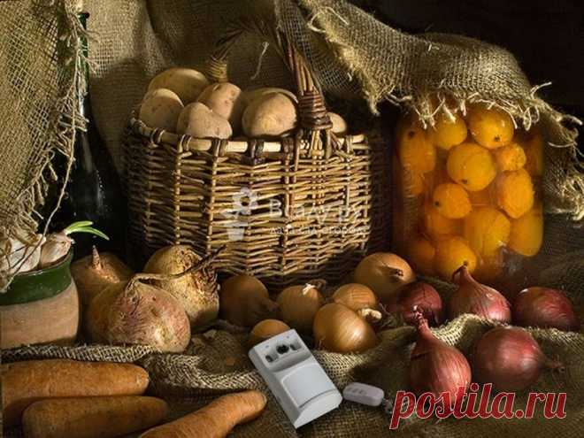 Хранение урожая овощей и фруктов до весны, фото
