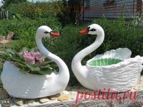 Clase magistral: cisne-ollas