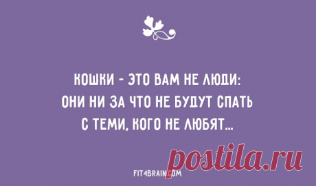 20 открыток от мастеров сарказма
