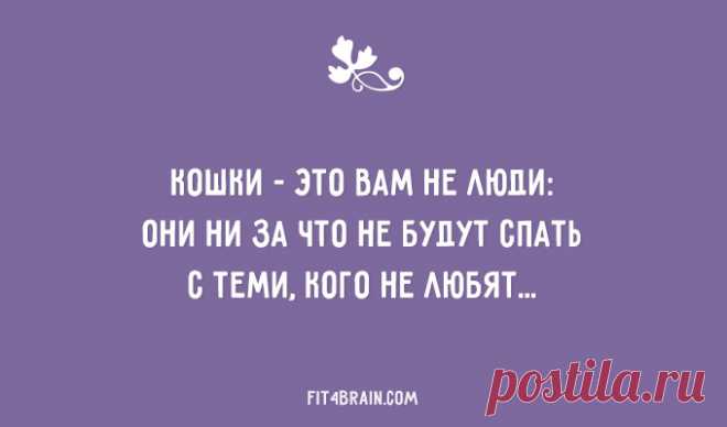 20 открыток от мастеров сарказма