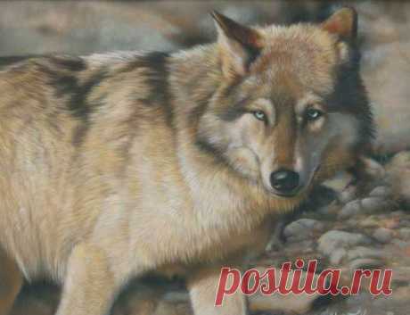 американское искусство в миниатюре | Картины дикой природы и природы Ребекки Лэтэм