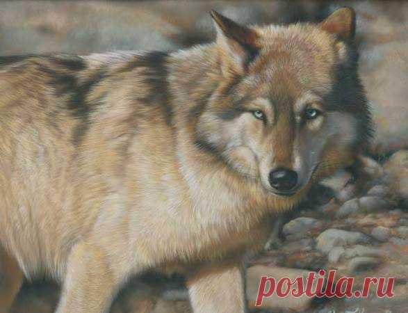 американское искусство в миниатюре | Картины дикой природы и природы Ребекки Лэтэм