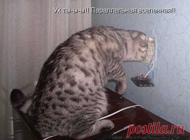 Веселая котоматрица - заряд позитива на весь день