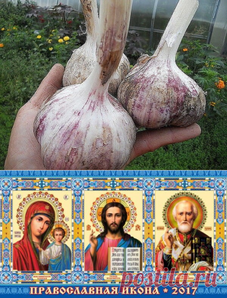 (42) Одноклассники