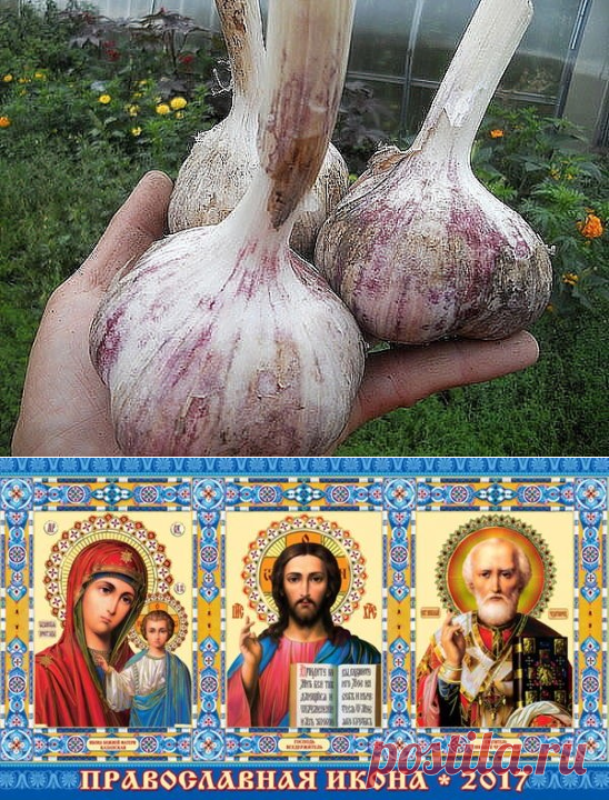 (42) Одноклассники