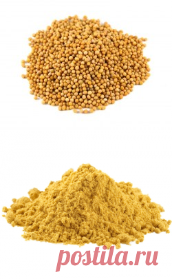 Горчица семена купить в Москве | Шеф Орех