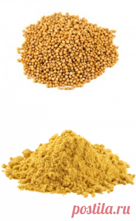 Горчица семена купить в Москве | Шеф Орех