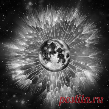 Новолуние после сезона затмений связывают с практичной перезагрузкой, ясным намерением и небольшим действием, которое можно повторять каждый день.