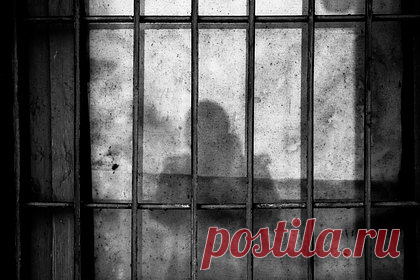 Сообщника ликвидированных в Дагестане боевиков арестовали до середины августа