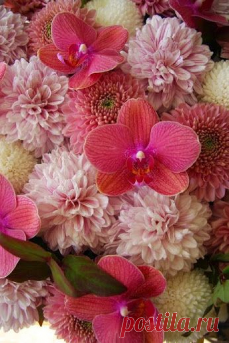 Google+ – #flowers