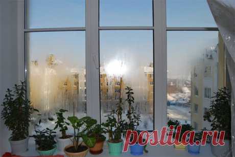 Почему потеют пластиковые окна в доме и что делать? Установив самые качественные металлопластиковые окна, владельцы квартир и частных домов рассчитывают практически на безукоризненные характеристики их использования. Но часто сталкиваются с тем, что на…