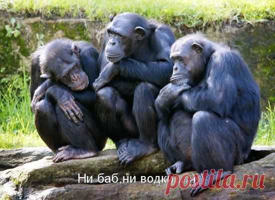Печалька...)))